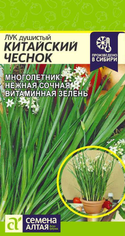 Семена Лук Душистый Китайский Чеснок, 0,3 г - фото