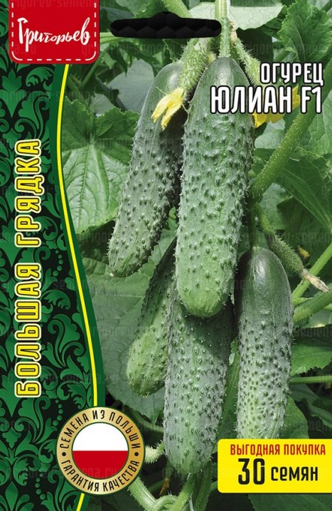 Семена Огурец Юлиан F1 самоопыляемый, 30 шт - фото