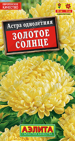 Семена Астра Золотое солнце пионовидная, 0,2 г - фото