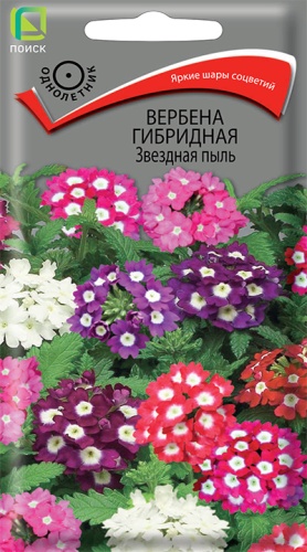 Семена Вербена гибридная Звёздная пыль, 0,2 г - фото