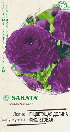 Семена Лютик (Ранункулюс) Цветущая долина фиолетовая F1, 3 шт - фото