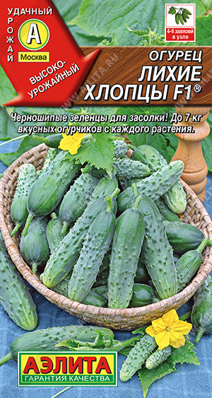 Семена Огурец Лихие хлопцы F1, 10 шт - фото