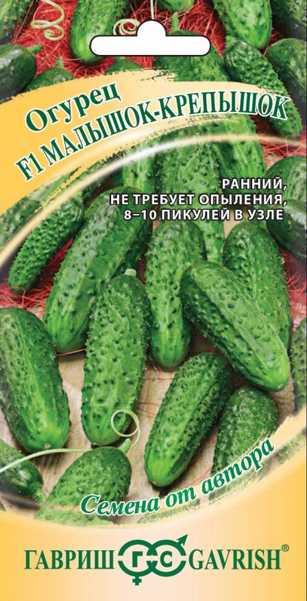 Семена Огурец Малышок-крепышок F1, 10 шт - фото
