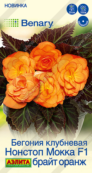 Семена Бегония клубневая Нонстоп мокка F1 брайт оранж, 5 шт - фото