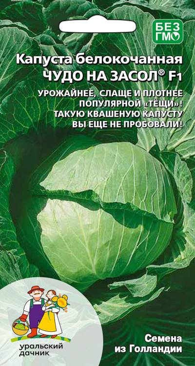 Семена Капуста белокочанная Чудо на засол, 0,3 г - фото