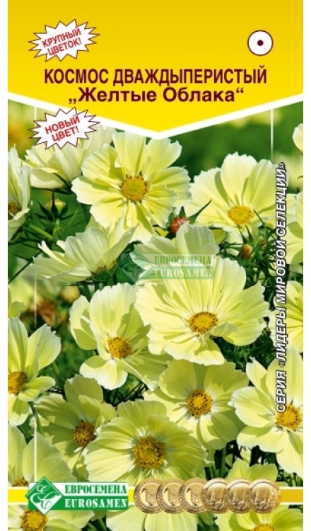 Семена Космос дваждыперистый Желтые Облака, 0,1 г - фото