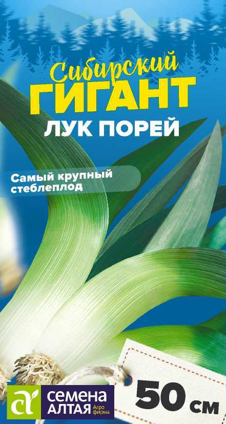 Семена Лук Порей Сибирский Гигант, 0,5 г - фото