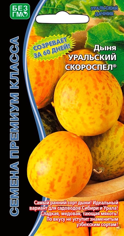 Семена Дыня Уральский Скороспел, 6 шт - фото