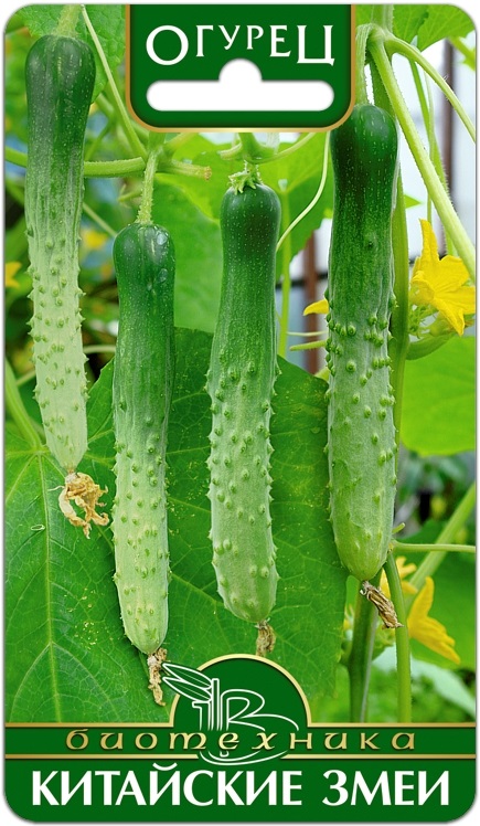 Семена Огурец Китайские Змеи, 10 шт Биотехника - фото