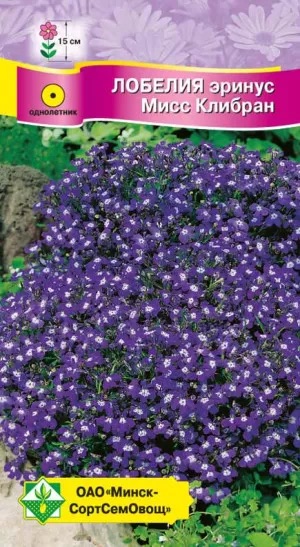 Семена Лобелия эринус Мисс Клибран, 0,05 г - фото