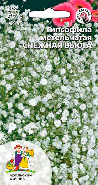 Семена Гипсофила Снежная вьюга, 0,05 г - фото