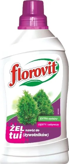 Florovit для туй, 800 г - фото