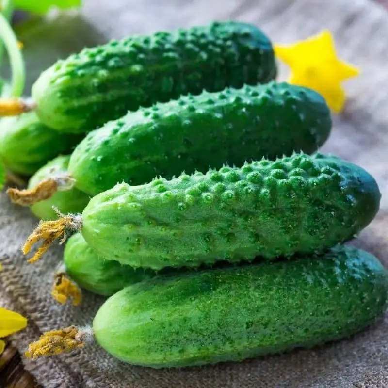 Семена Огурец Ромара F1, 10 шт - фото