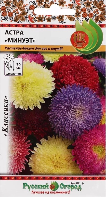 Семена Астра Минуэт, 50 шт - фото