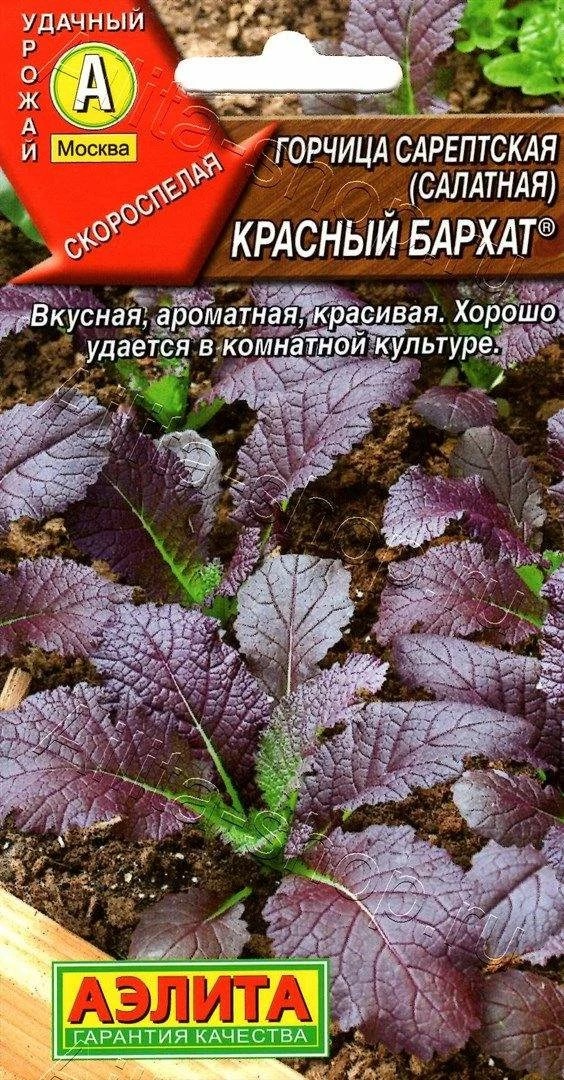 Семена Горчица салатная Красный бархат, 0,5 г - фото