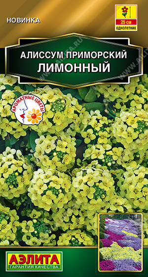 Семена Алиссум приморский Лимонный, 0,1 г - фото