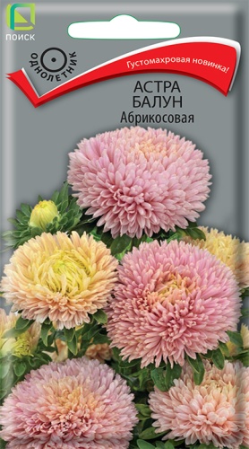 Семена Астра Балун Абрикосовая, 0,1 г - фото