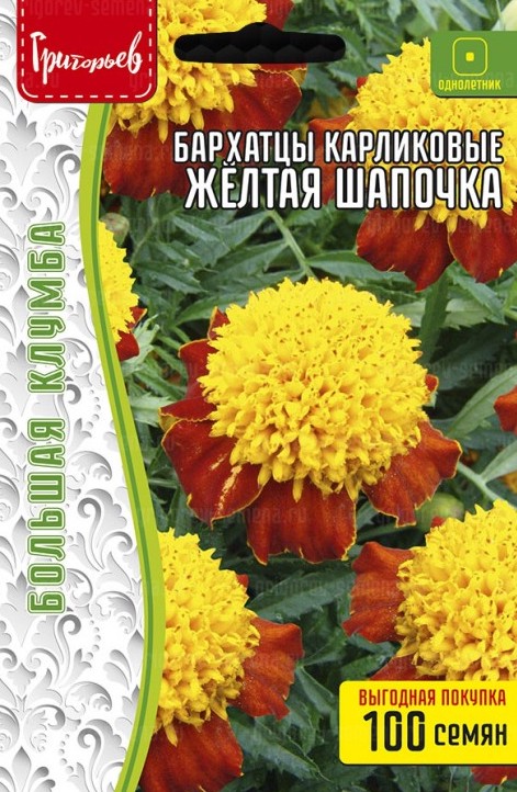Семена Бархатцы Жёлтая Шапочка карликовые махровые, 100 шт - фото