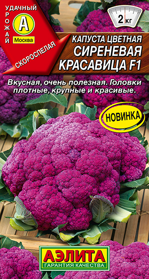 Семена Капуста цветная Сиреневая красавица F1, 7 шт - фото