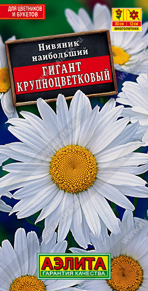 Семена Нивяник крупноцветковый Гигант, 0,5 г - фото