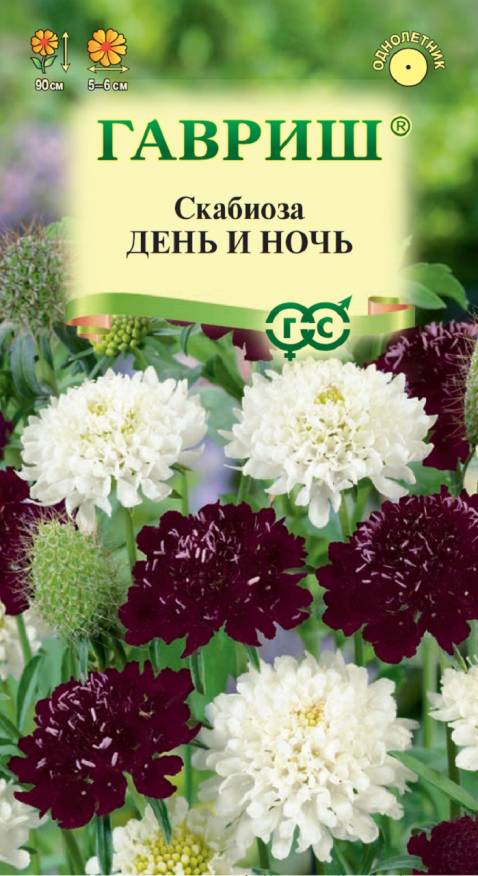 Семена Скабиоза День и ночь смесь, 0,2 г - фото