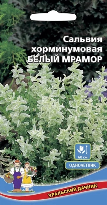 Семена Сальвия хорминумовая Белый мрамор, 6 шт - фото
