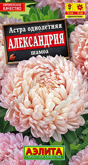 Семена Астра Александрия шамоа, 0,1 г - фото