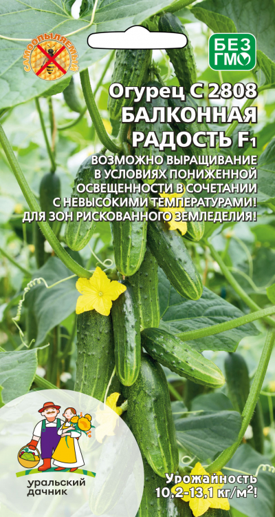 Семена Огурец С 2808 Балконная радость F1, 8 шт - фото