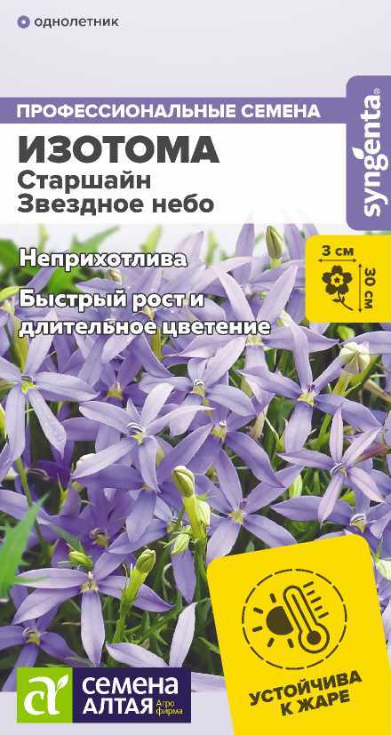 Семена Изотома Старшайн Звездное небо, 3 шт - фото