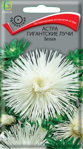 Семена Астра Гигантские лучи белая, 0,3 г - фото