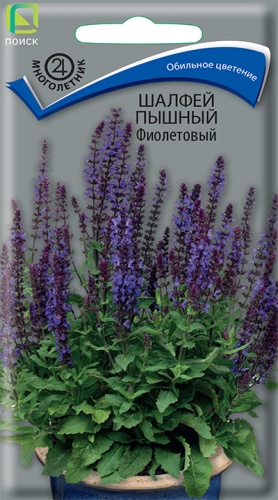 Семена Шалфей пышный Фиолетовый, 0,1 г - фото