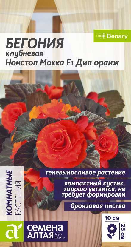 Семена Бегония Нонстоп Мокка F1 Дип Оранж клубнева, 4 шт - фото