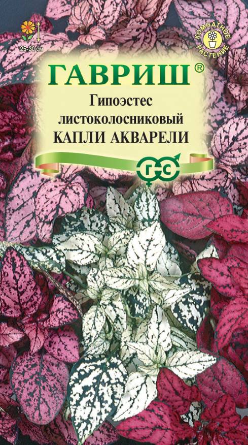 Семена Гипоэстес листоколосниковый Капли акварели, 4 шт - фото