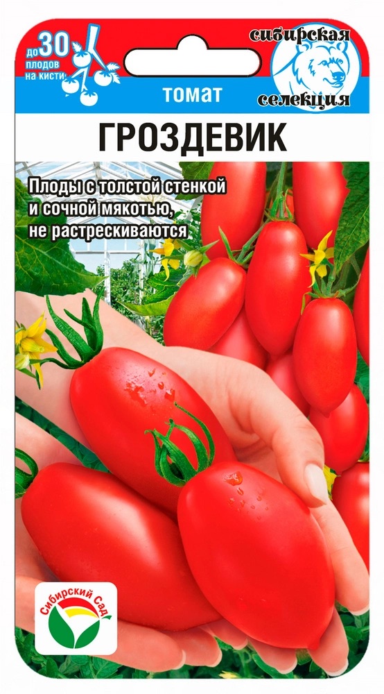 Семена Томат Гроздевик, 20 шт - фото