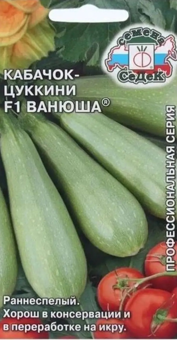 Семена Кабачок Ванюша, 2 г - фото