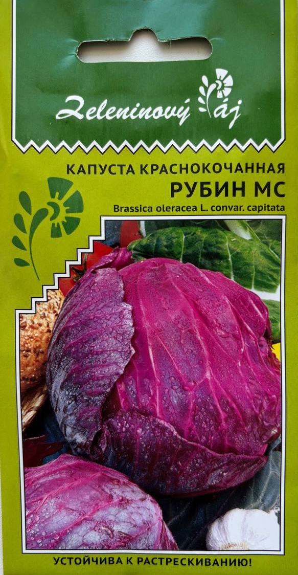 Семена Капуста краснокочанная Рубин МС, 0,25 г - фото