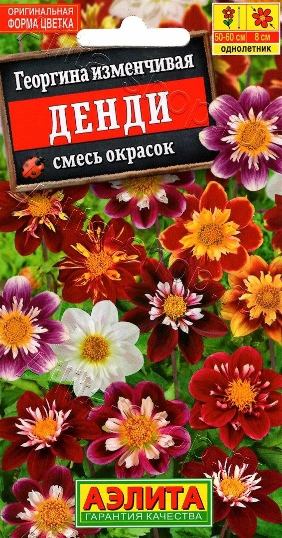 Семена Георгина Денди смесь окрасок, 0,3 г - фото