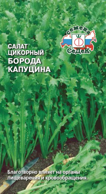 Семена Салат цикорный Борода Капуцина, 0,5 г - фото