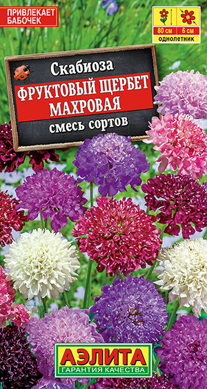 Семена Скабиоза Фруктовый щербет махровая смесь сортов, 0,1 г - фото