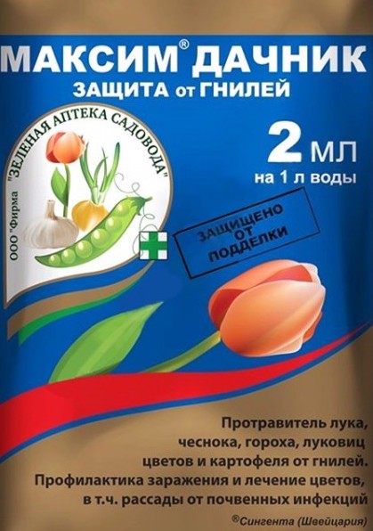 Максим Дачник, 2 мл - фото
