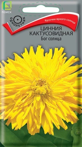 Семена Цинния кактусовидная Бог солнца, 0,4 г - фото