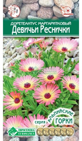 Семена Доретеантус маргаритковый Девичьи Реснички, 0,1 г - фото