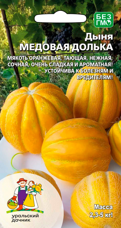 Семена Дыня Медовая долька, 10 шт - фото