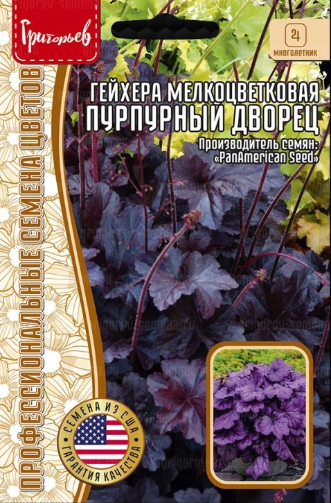 Семена Гейхера Пурпурный Дворец мелкоцветковая, 10 шт - фото