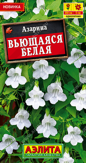 Семена Азарина вьющаяся белая, 5 шт - фото