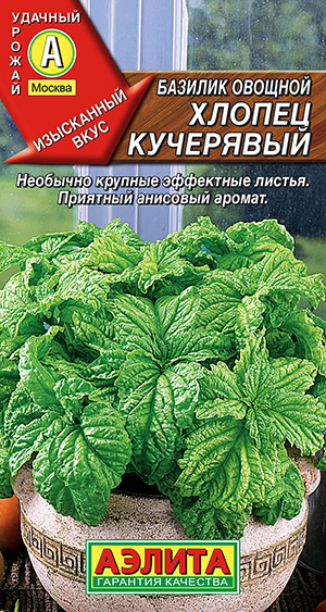 Семена Базилик овощной Хлопец кучерявый, 0,2 г - фото