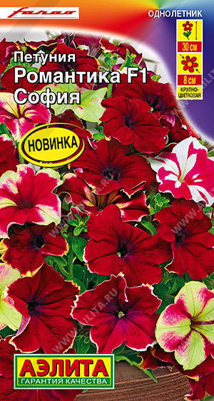 Семена Петуния Романтика F1 София, 5 шт - фото