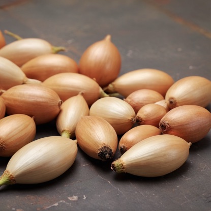 Лук-севок Каддис 10-21 мм, 500 г - фото