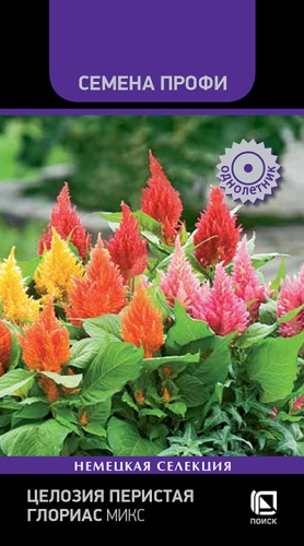 Семена Целозия перистая Глориас Микс, 10 шт - фото