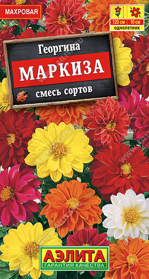 Семена Георгина махровая Маркиза смесь сортов, 10 шт - фото
